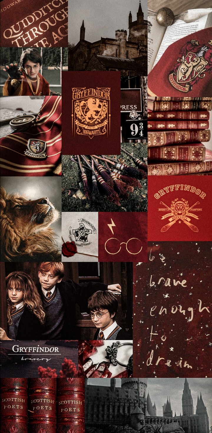 Gryffindor❤️??