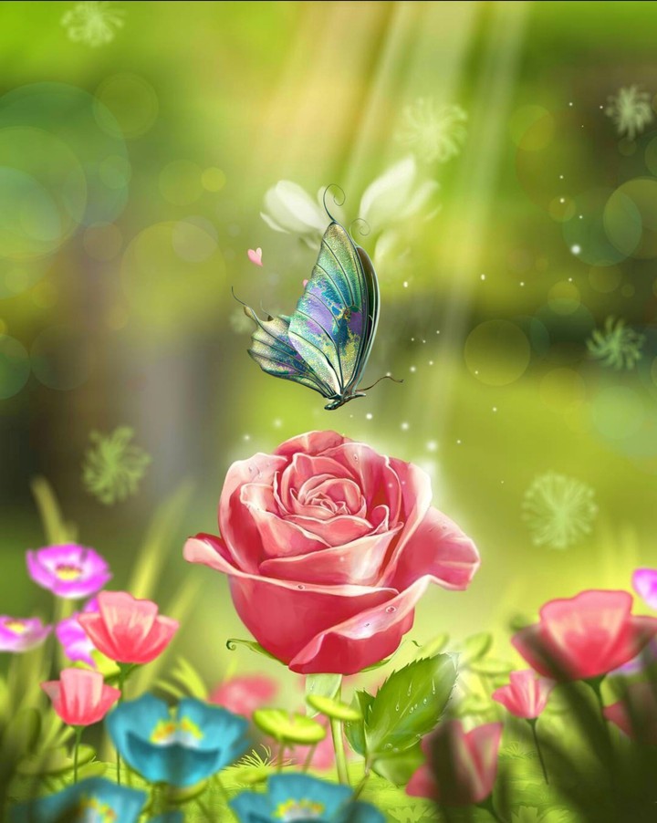 Meadow