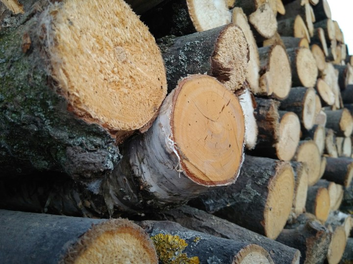 Wood
