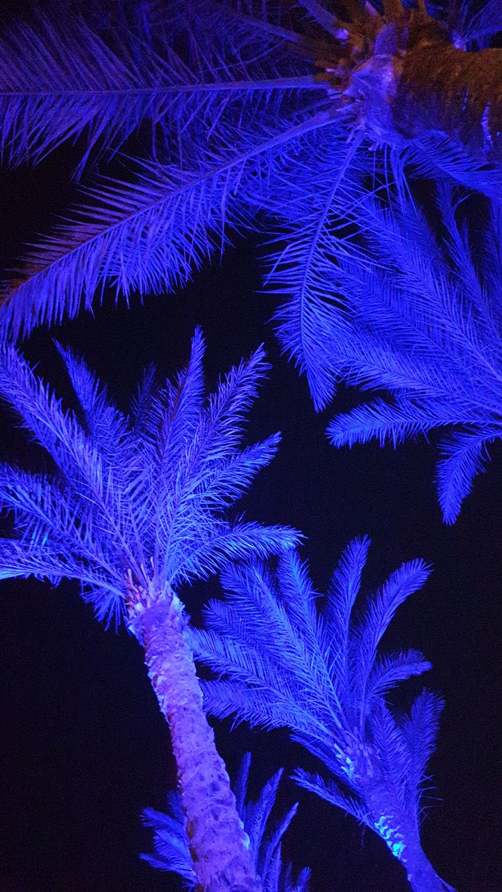 summer