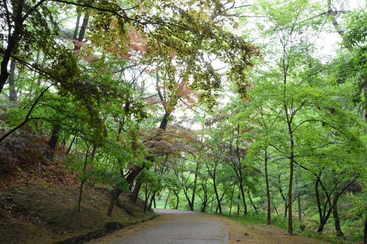풍경이미지