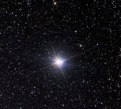estrela