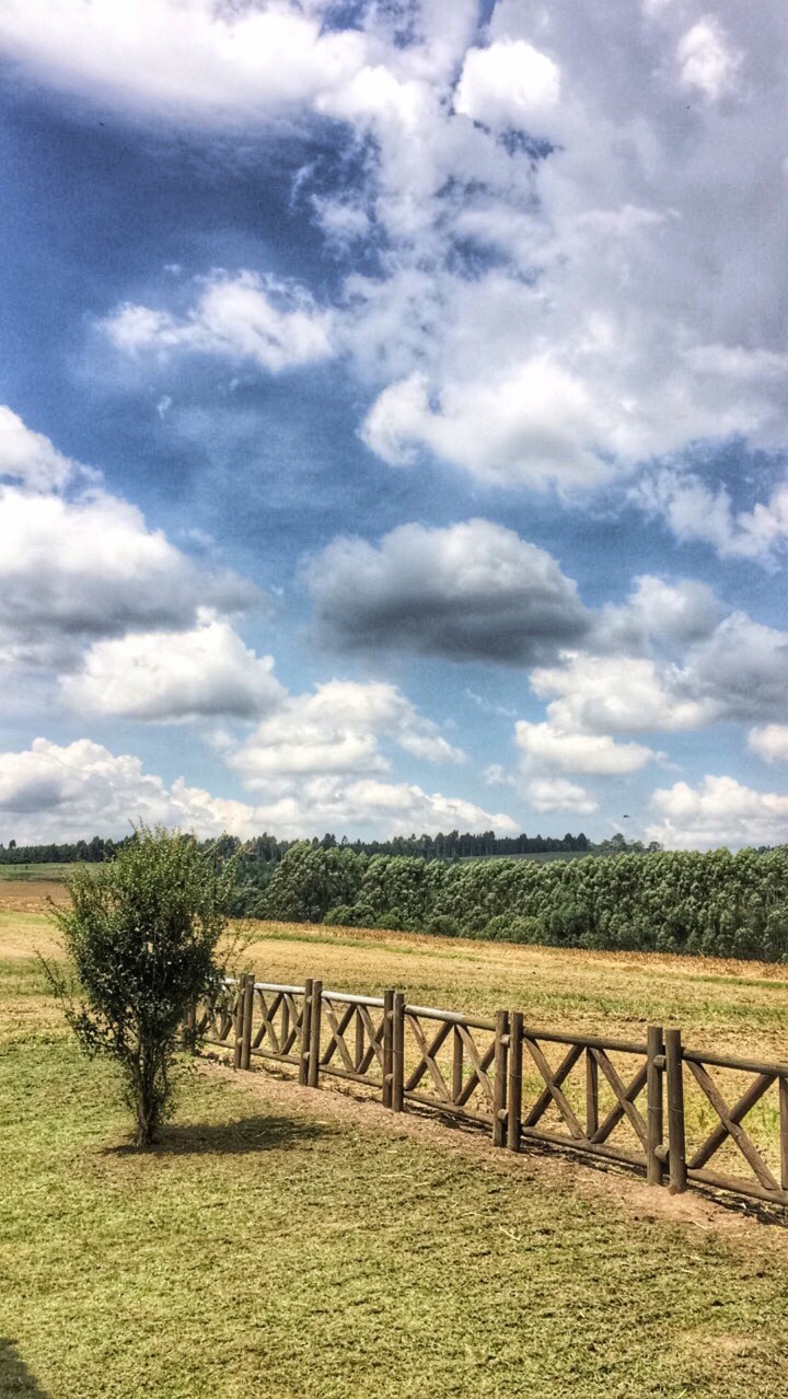 fazenda