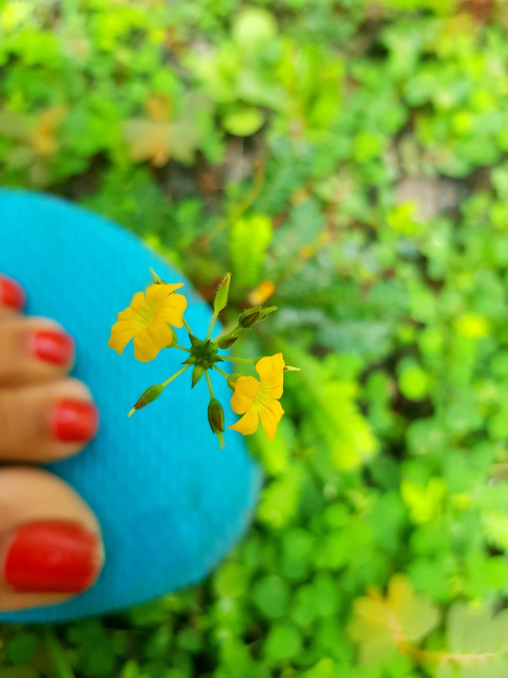 nature