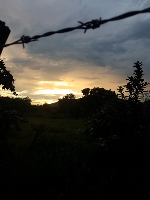 Tardeada...