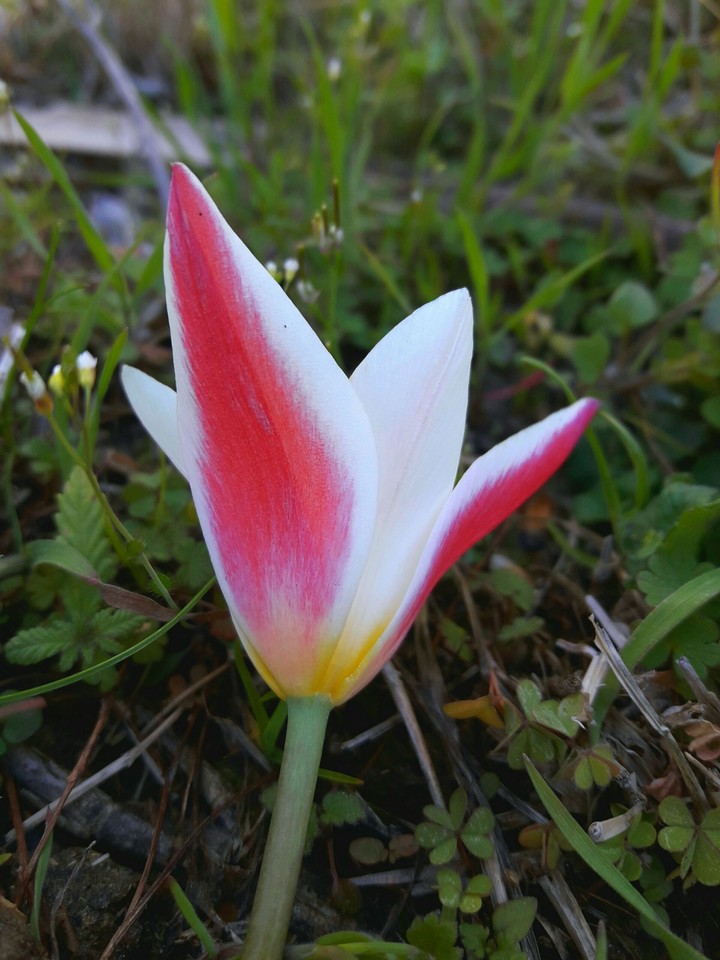 nature at its best