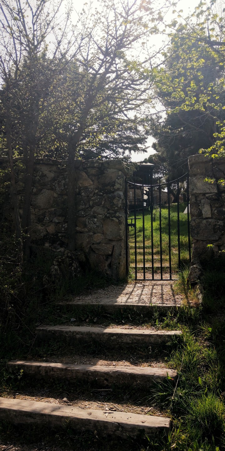 Greenery