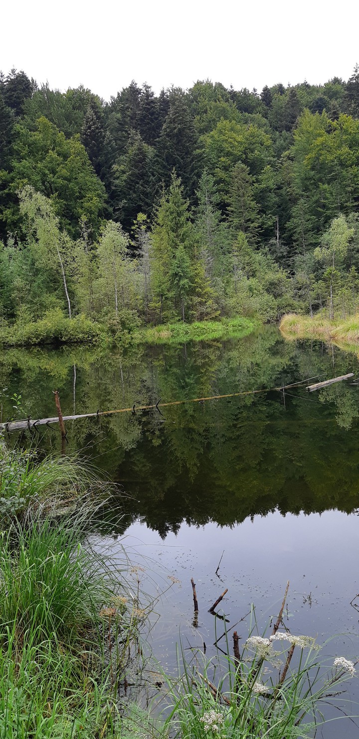 nature