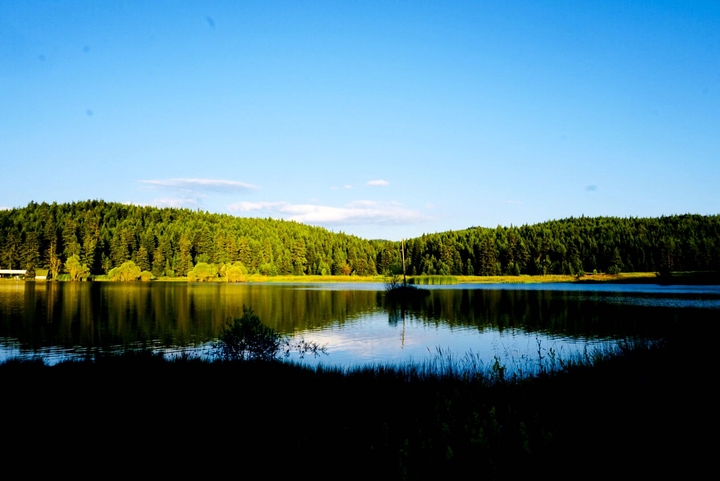 dorukkaya