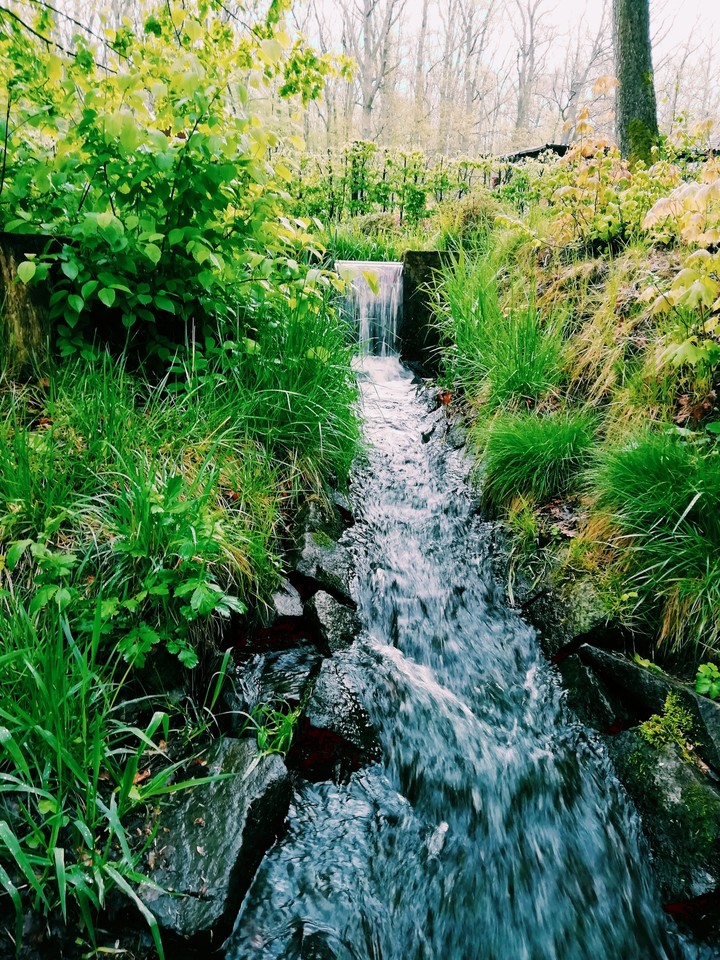 Waterfall