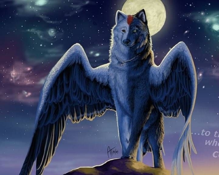 "Angel Of Darkness"