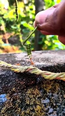 ♥️