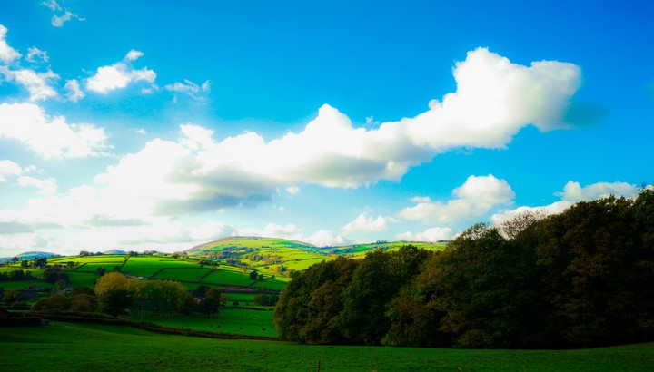 Welsh Tranquility