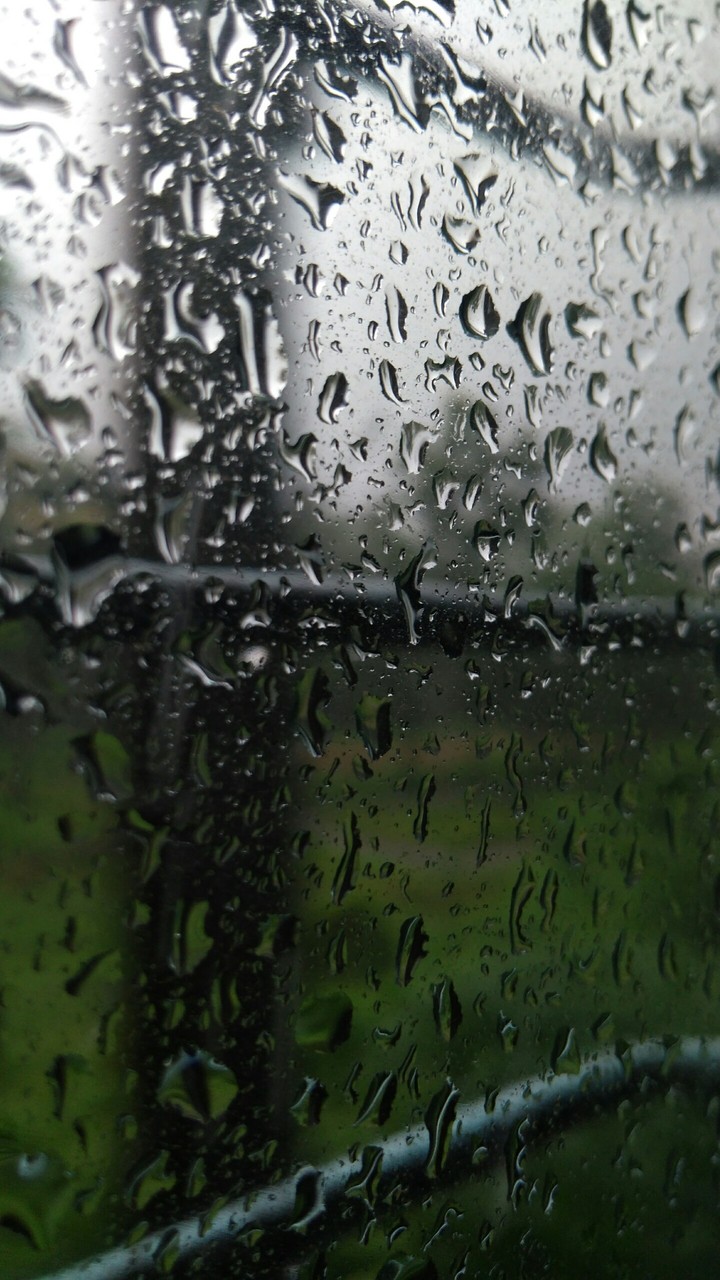 A Rainy Train Journey