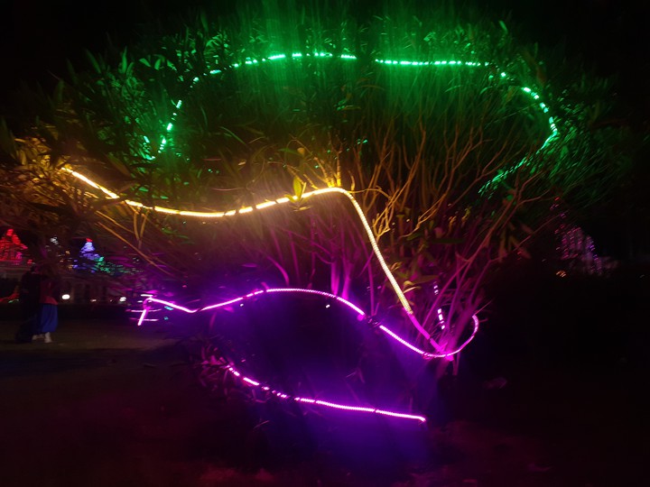 Lights