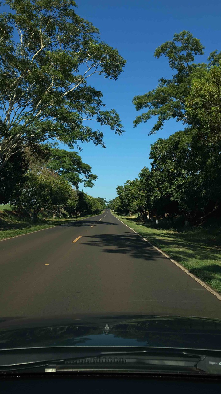 Aracanguá