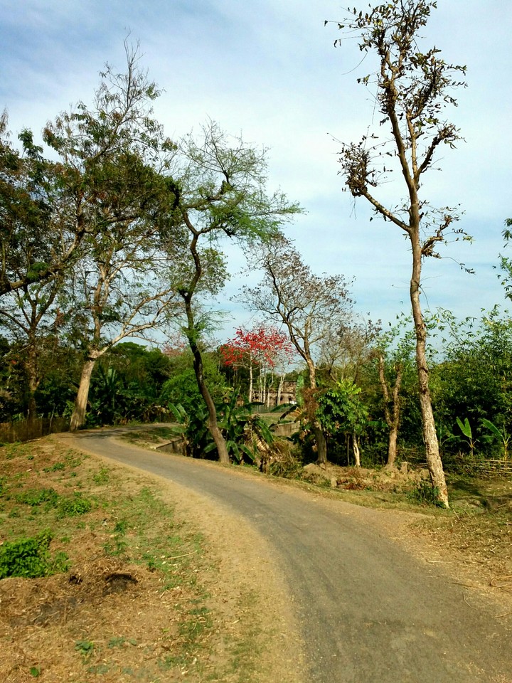 Endless Road . . .