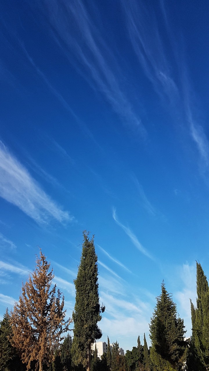 Blue sky