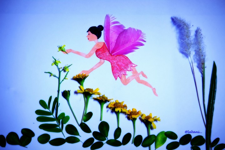 fairy