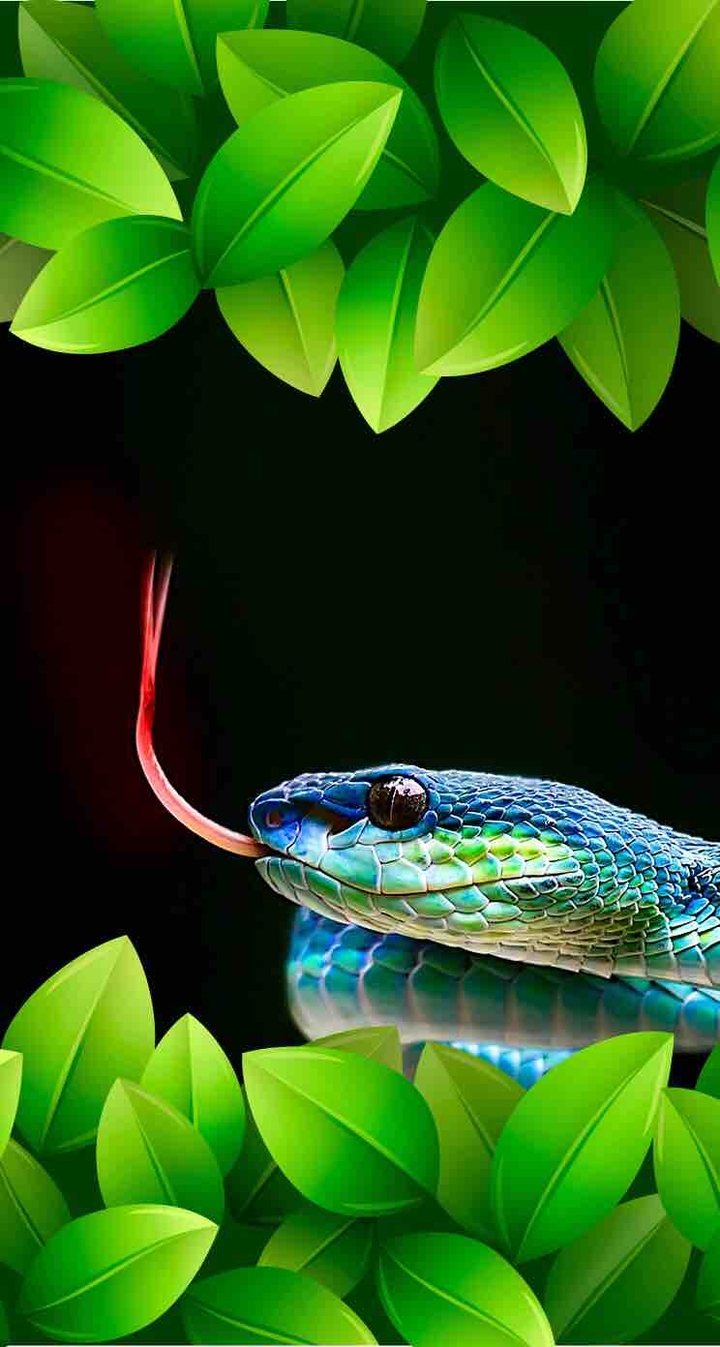 Serpent Tempter