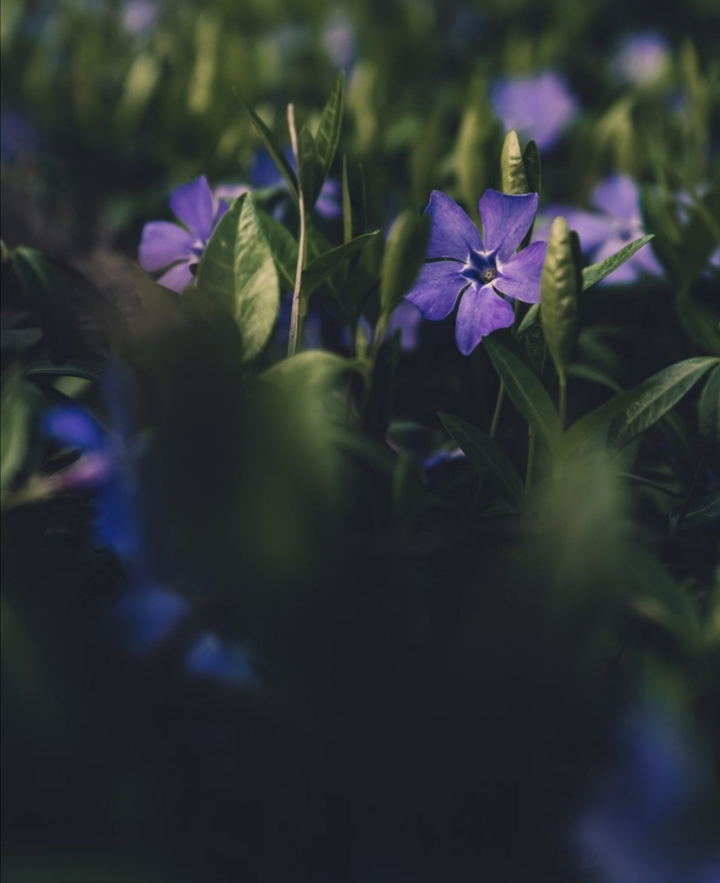 ✨