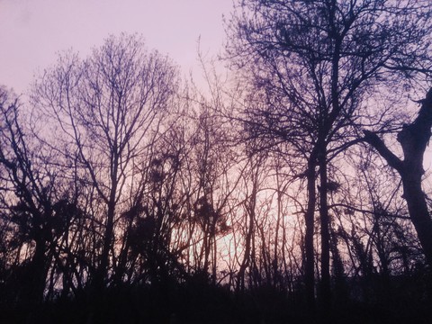 pink sky