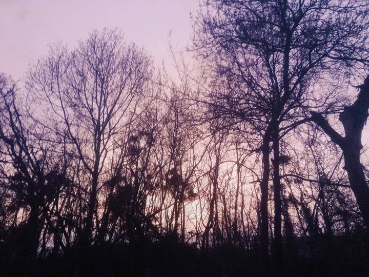 pink sky