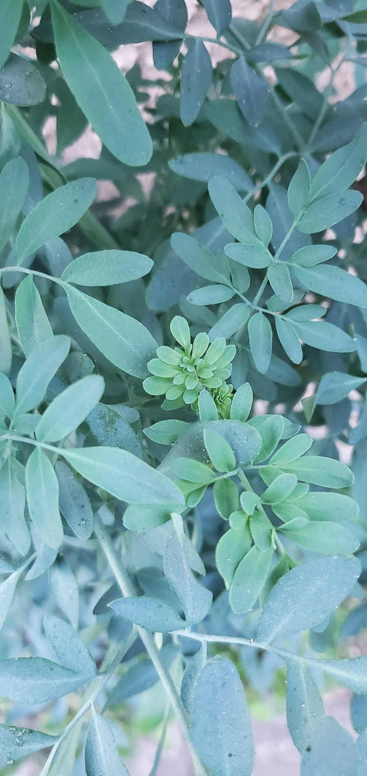 ?