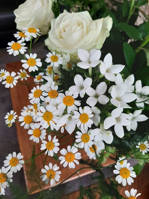 Daisies, roses & bouvardia