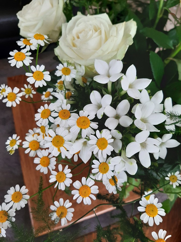 Daisies, roses & bouvardia