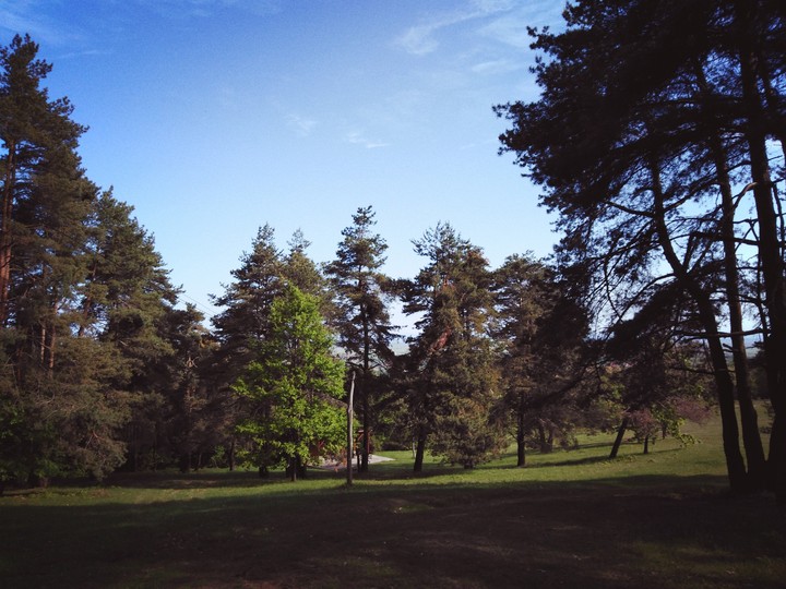 Picnic time