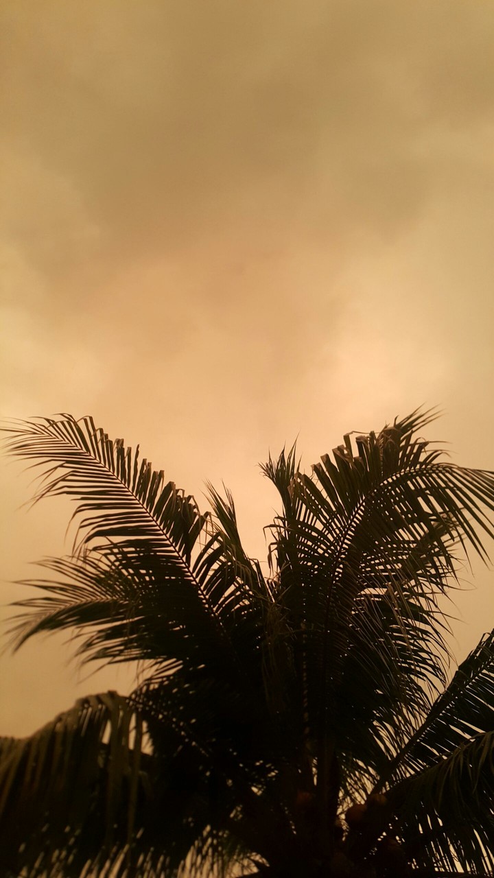 Sepia sky