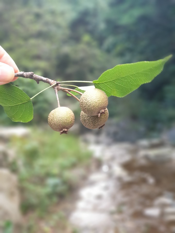 산책길에서