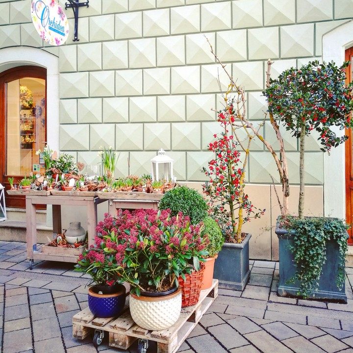 Flowerpots