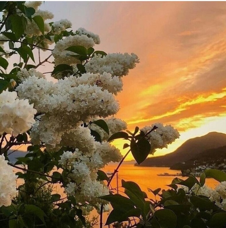 ❤