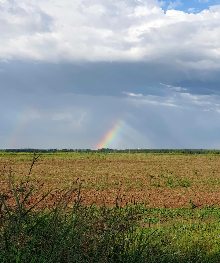 rainbow