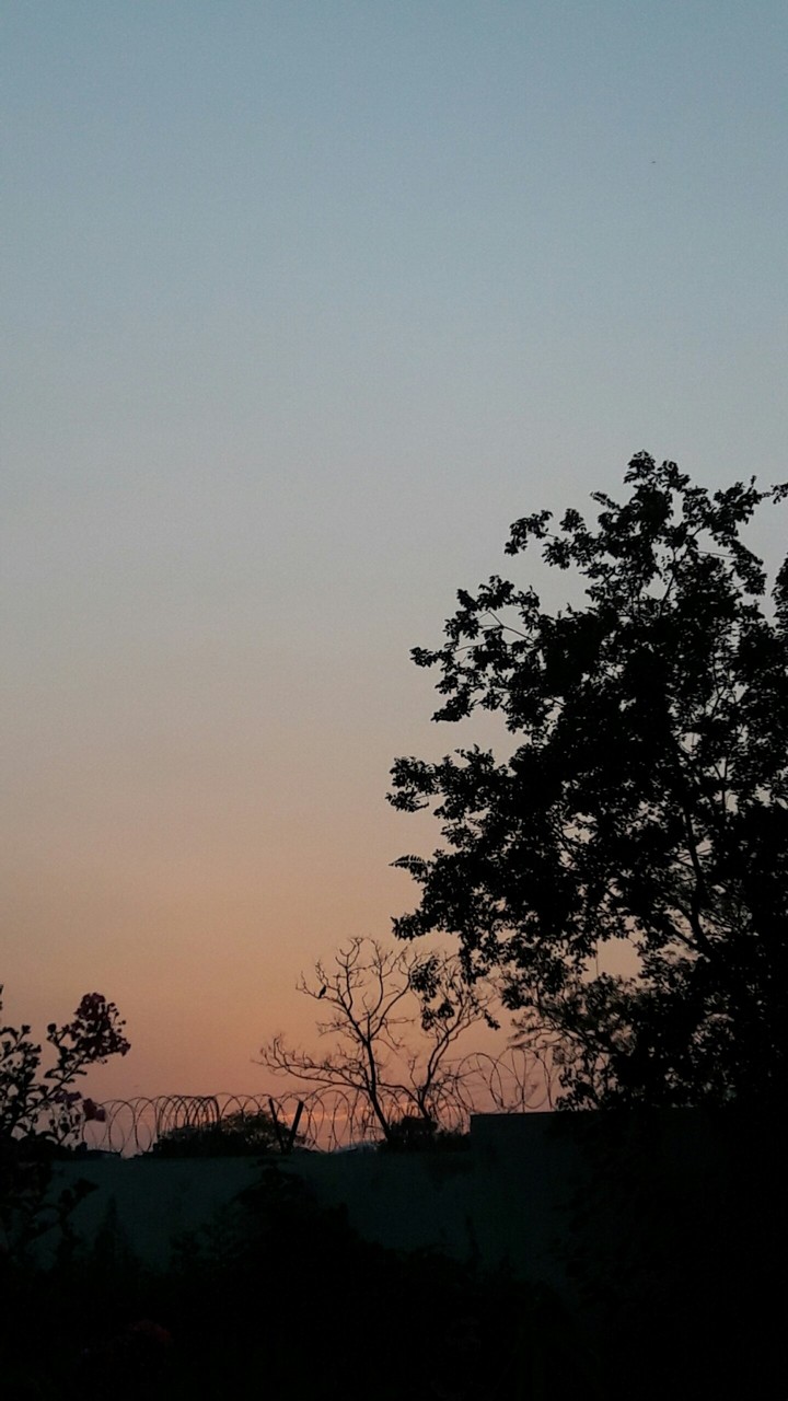 beautiful evening