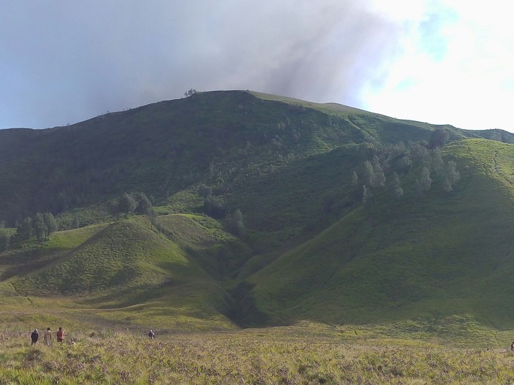 Bromo