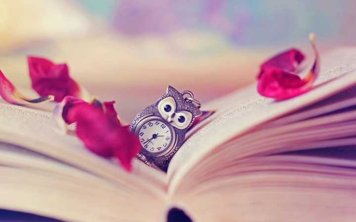 owl