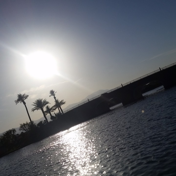 Lakeside Views