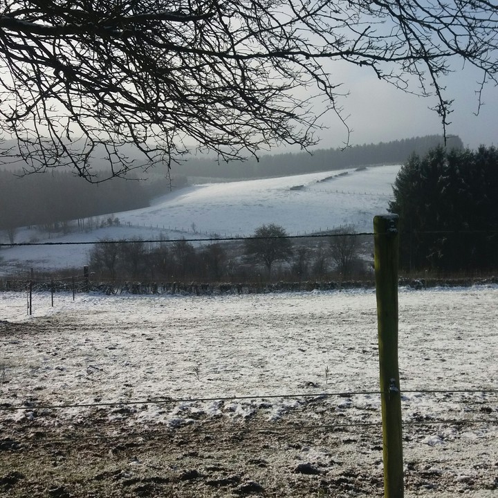 paysage