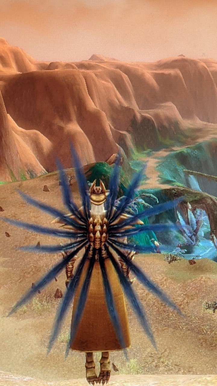 Guild Wars, view from Druids Overlook