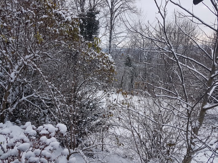 Winter is coming