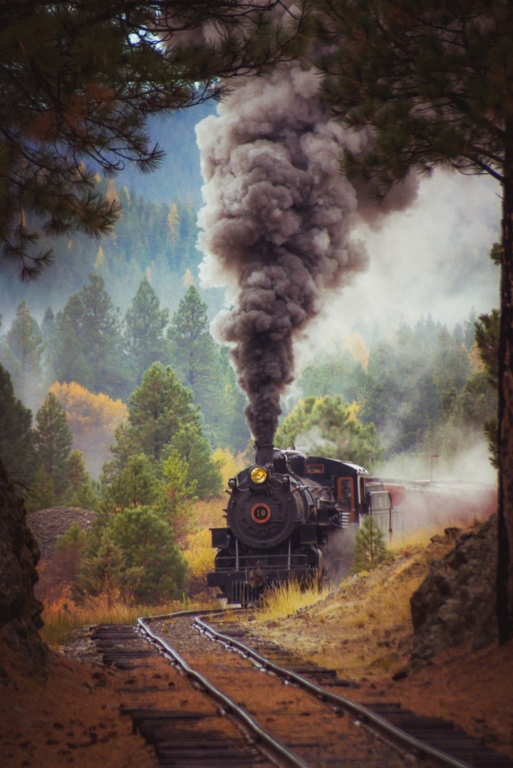 locomotive