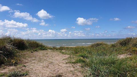 Noth Sea