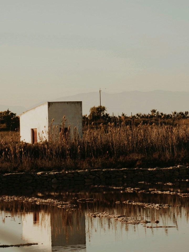 Reflections