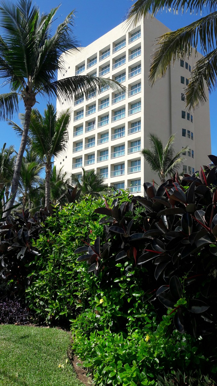 Mayan Sea Garden at Mazatlán