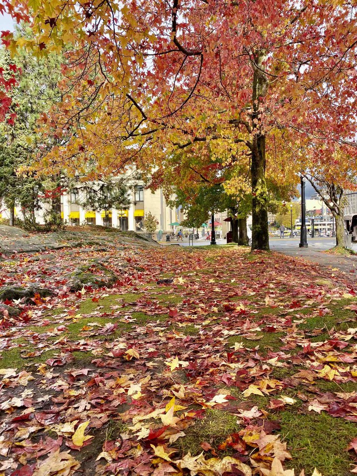 Autumn in Victoria