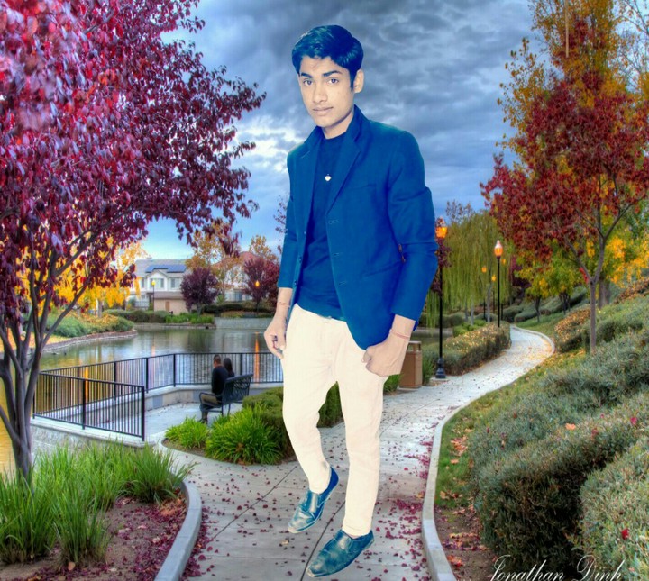 vipin