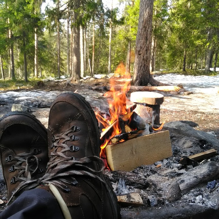 Cooking in the forest